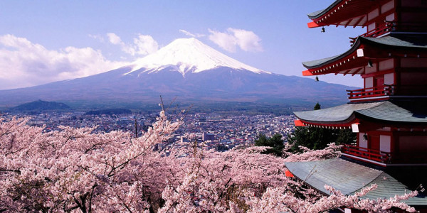 Mount-Fuji-cherry-blossoms-trees-and-pagoda-Tokyo-Japan